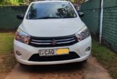 Suzuki Celerio VXI Auto