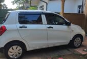 Suzuki Celerio VXI Auto
