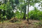 Land for Sale in Kaduwela