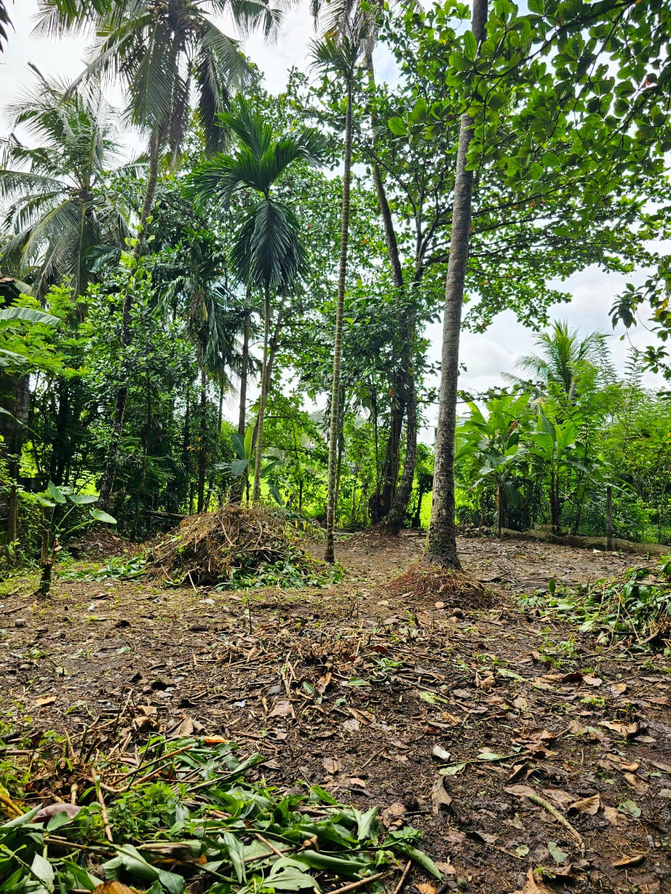 Land for Sale in Kaduwela