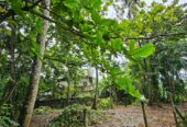Land for Sale in Kaduwela