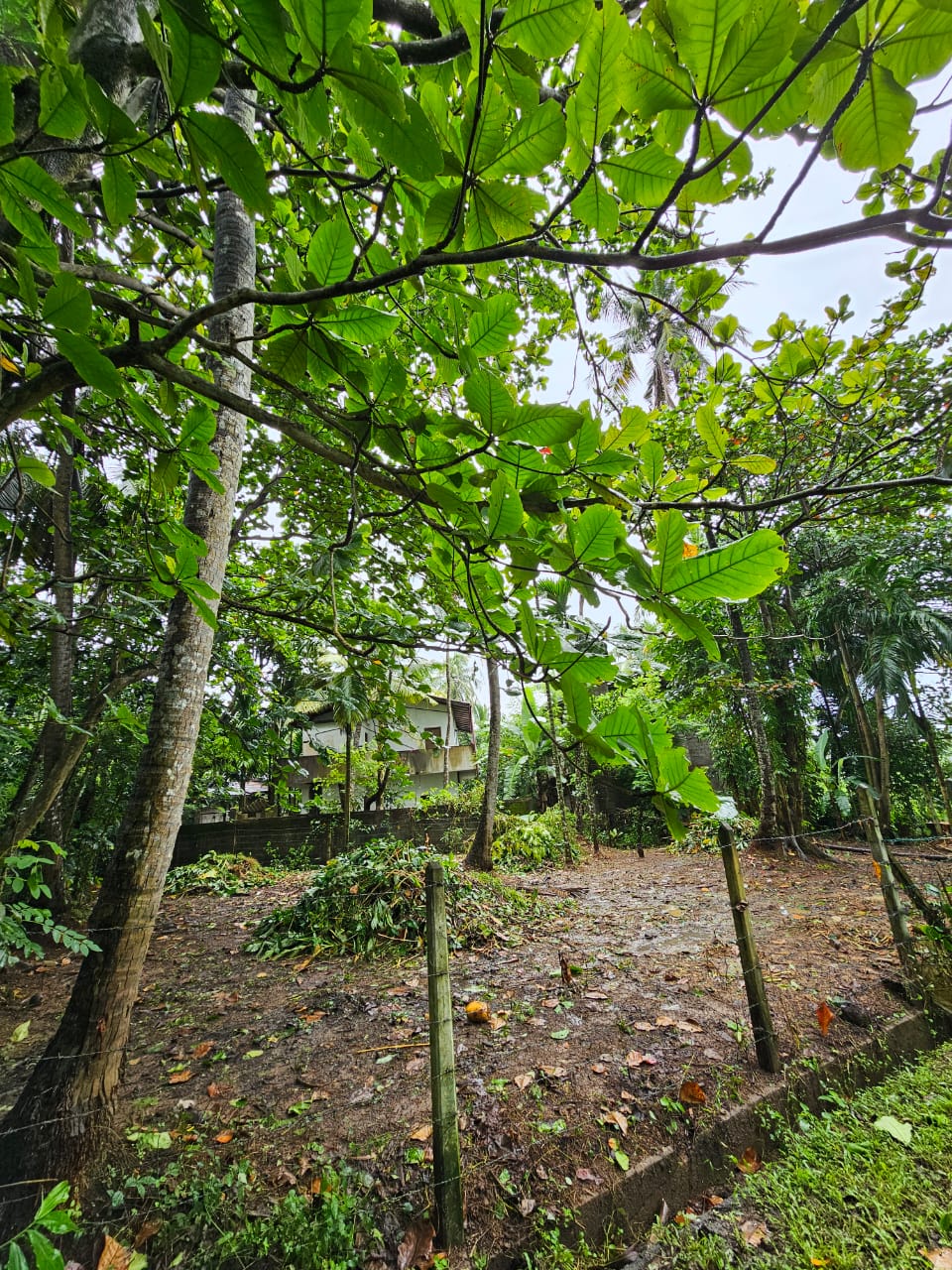 Land for Sale in Kaduwela