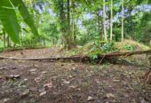 Land for Sale in Kaduwela