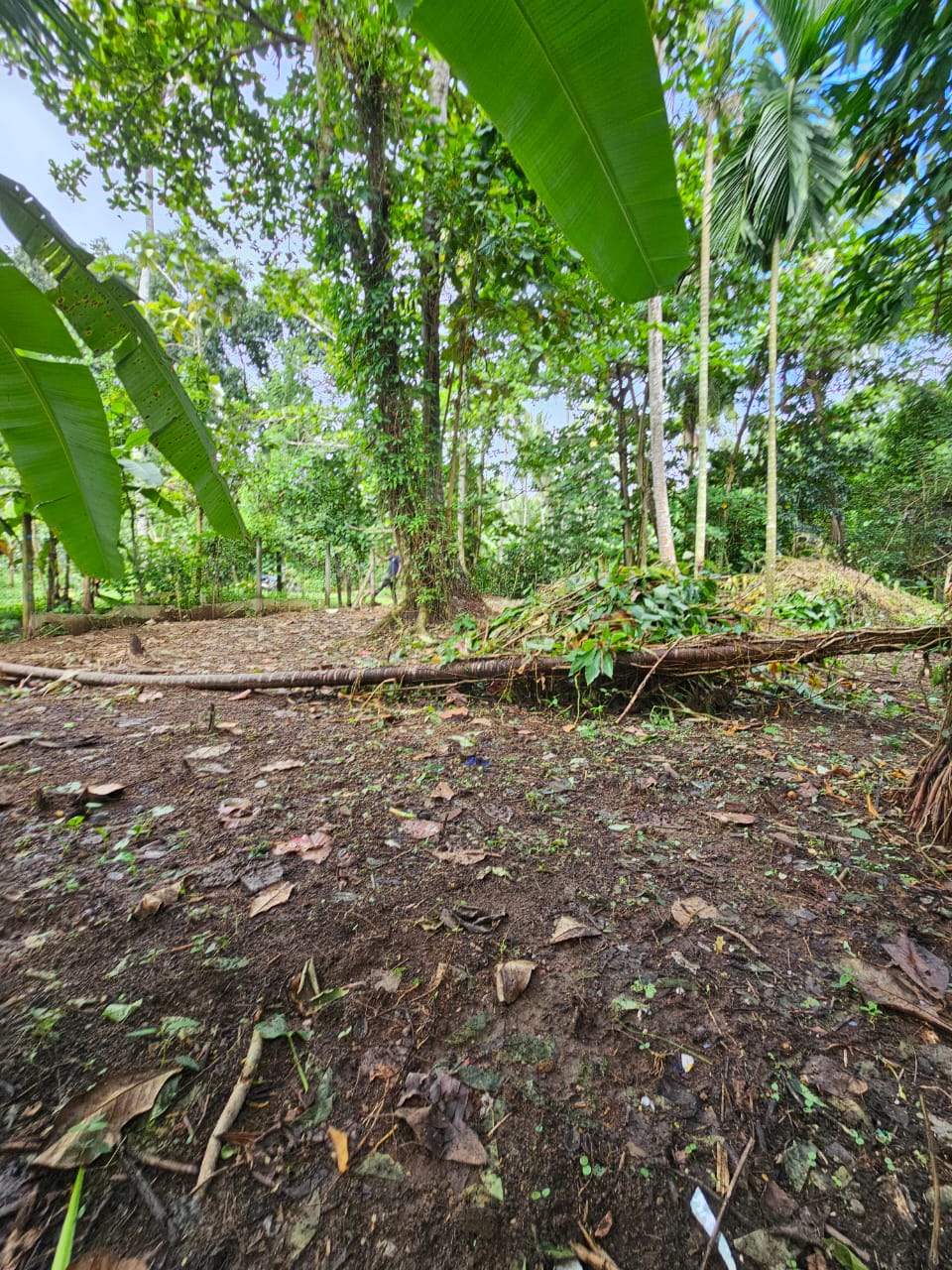 Land for Sale in Kaduwela