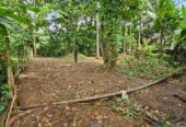 Land for Sale in Kaduwela