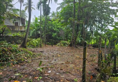Land for Sale in Kaduwela