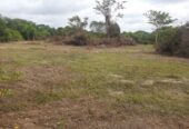 Land for Sale in Galgamuwa