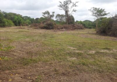 Land for Sale in Galgamuwa