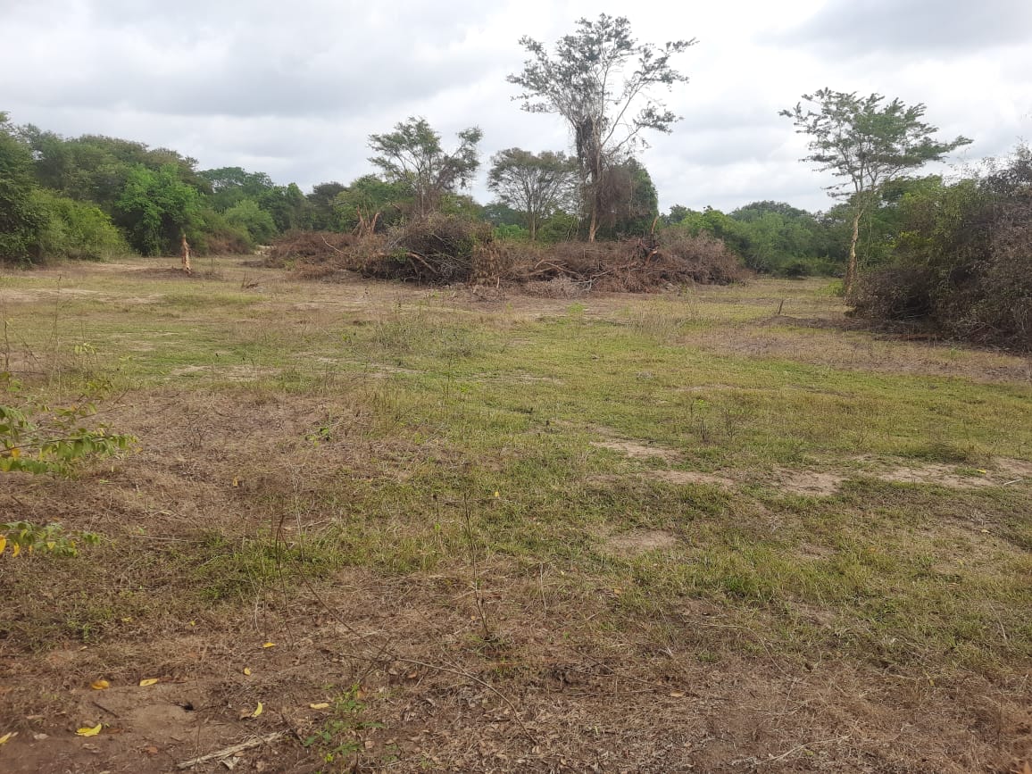 Land for Sale in Galgamuwa