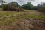 Land for Sale in Galgamuwa