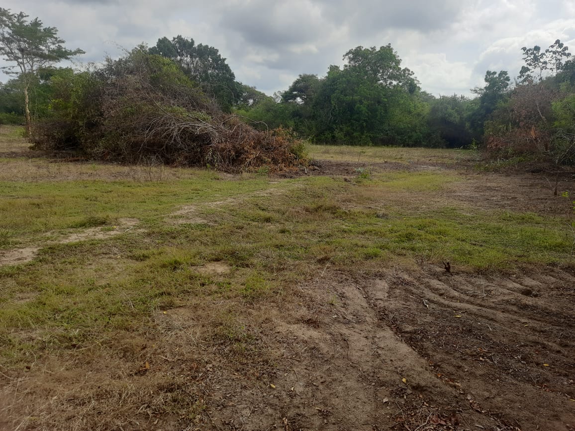 Land for Sale in Galgamuwa
