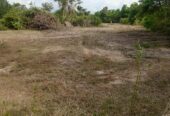 Land for Sale in Galgamuwa