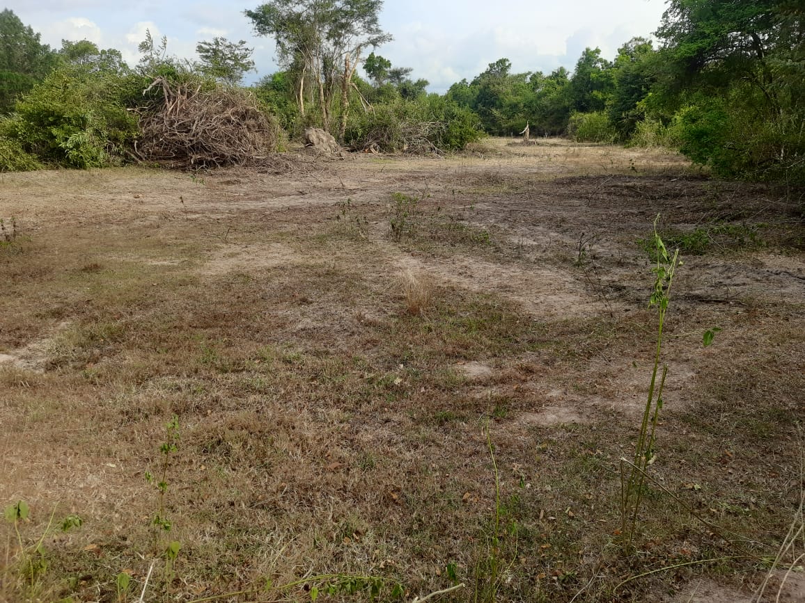 Land for Sale in Galgamuwa