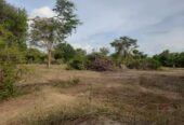 Land for Sale in Galgamuwa