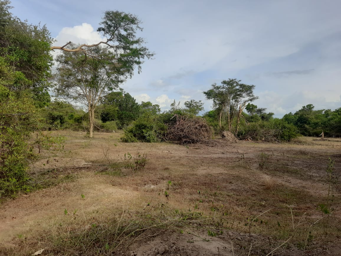Land for Sale in Galgamuwa