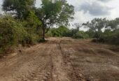 Land for Sale in Galgamuwa