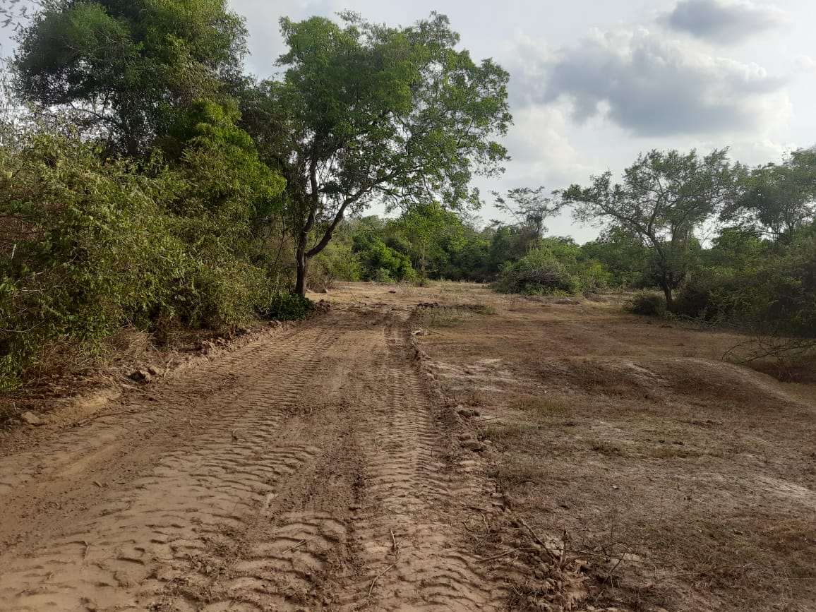 Land for Sale in Galgamuwa
