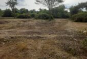 Land for Sale in Galgamuwa