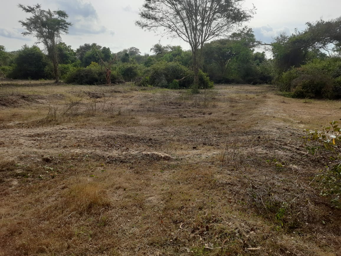 Land for Sale in Galgamuwa