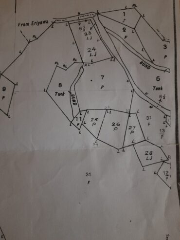 Land for Sale in Galgamuwa