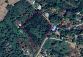 කුරුණෑගල නගරය ආසන්නයෙන් ඉඩමක් – Land for Sale, Close to Kurunegala Town