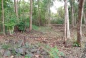 කුරුණෑගල නගරය ආසන්නයෙන් ඉඩමක් – Land for Sale, Close to Kurunegala Town
