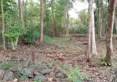 කුරුණෑගල නගරය ආසන්නයෙන් ඉඩමක් – Land for Sale, Close to Kurunegala Town