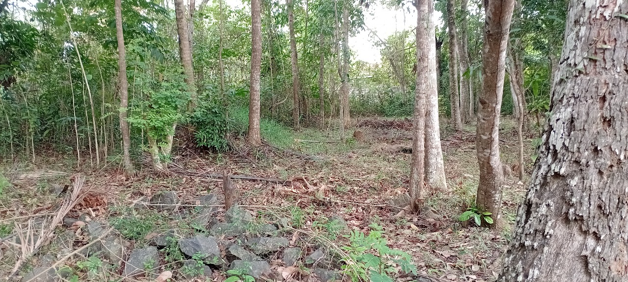 කුරුණෑගල නගරය ආසන්නයෙන් ඉඩමක් – Land for Sale, Close to Kurunegala Town