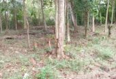 කුරුණෑගල නගරය ආසන්නයෙන් ඉඩමක් – Land for Sale, Close to Kurunegala Town