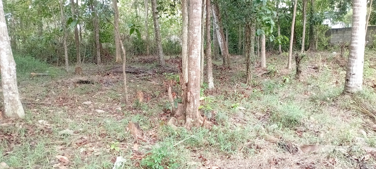 කුරුණෑගල නගරය ආසන්නයෙන් ඉඩමක් – Land for Sale, Close to Kurunegala Town