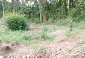 කුරුණෑගල නගරය ආසන්නයෙන් ඉඩමක් – Land for Sale, Close to Kurunegala Town