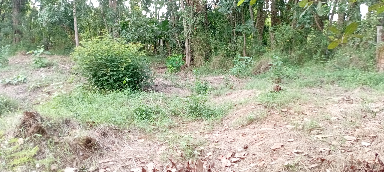 කුරුණෑගල නගරය ආසන්නයෙන් ඉඩමක් – Land for Sale, Close to Kurunegala Town