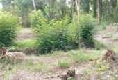 කුරුණෑගල නගරය ආසන්නයෙන් ඉඩමක් – Land for Sale, Close to Kurunegala Town