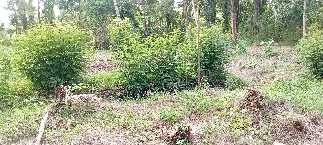 කුරුණෑගල නගරය ආසන්නයෙන් ඉඩමක් – Land for Sale, Close to Kurunegala Town