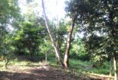 Land for Sale in Galle