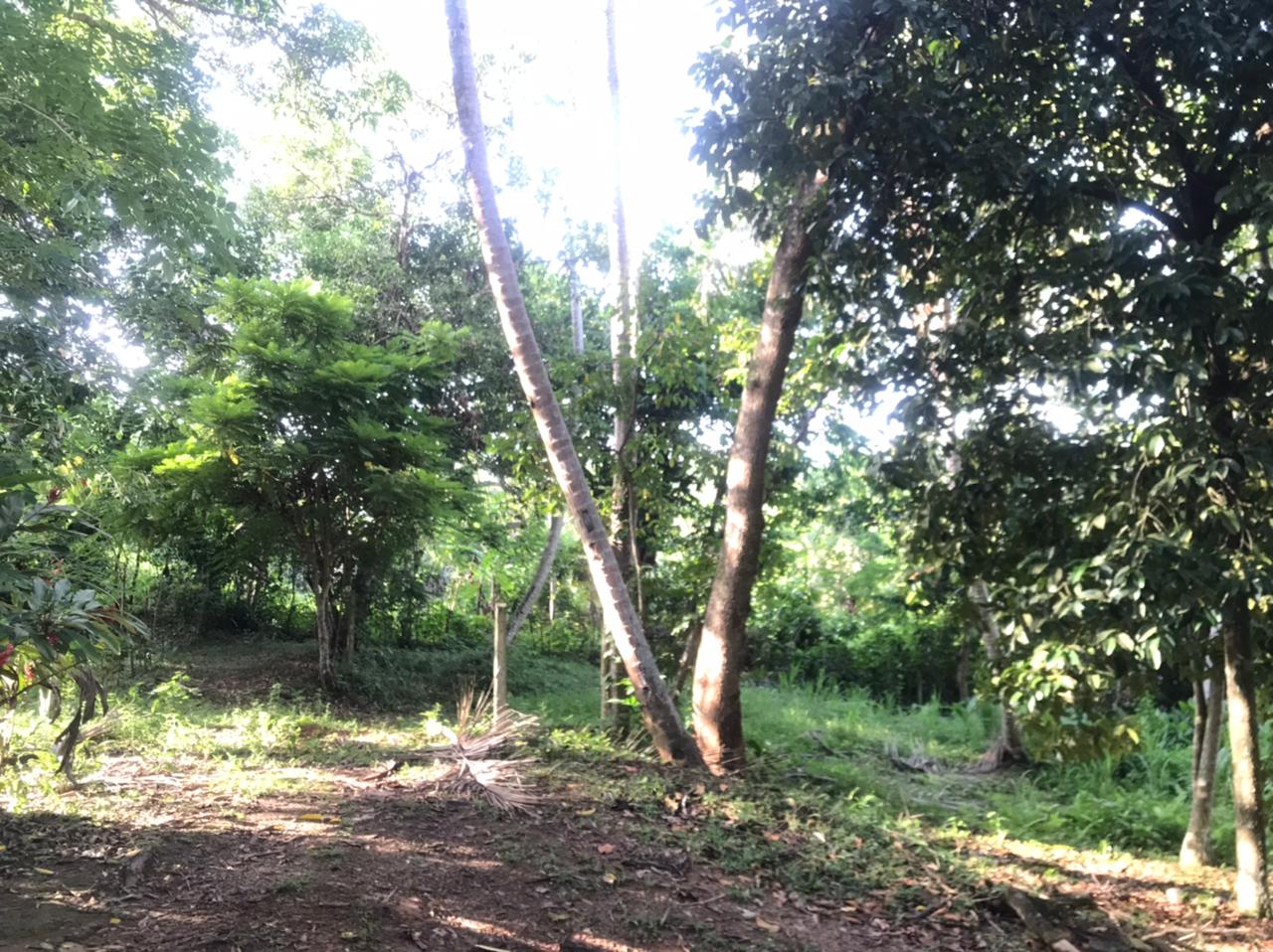 Land for Sale in Galle