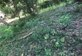 Land for Sale in Galle