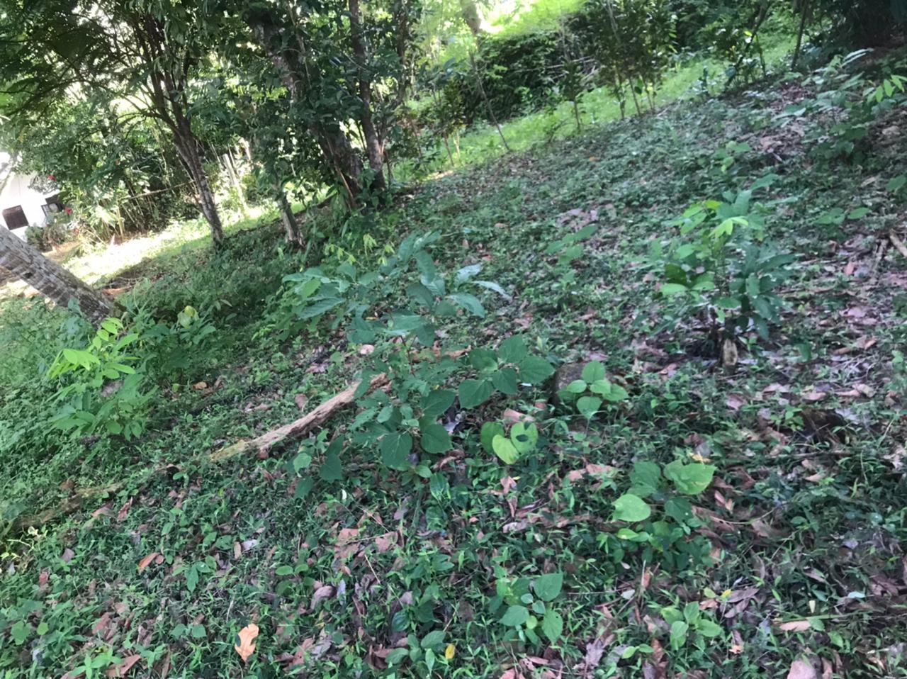 Land for Sale in Galle