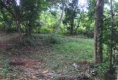 Land for Sale in Galle