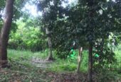Land for Sale in Galle