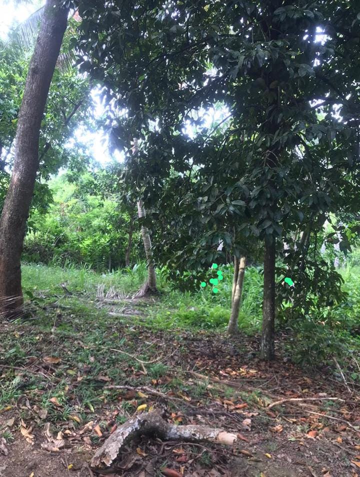 Land for Sale in Galle