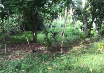 Land for Sale in Galle