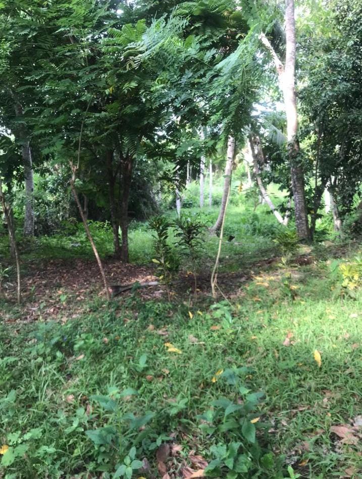 Land for Sale in Galle