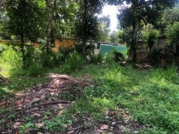 Bare Land for Sale in Badulla
