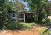 Bare Land for Sale in Badulla