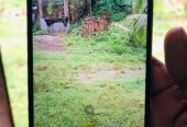 ZTE Blade V50
