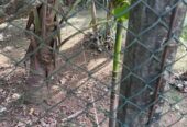Valuable Land for Sale in Athurugiriya