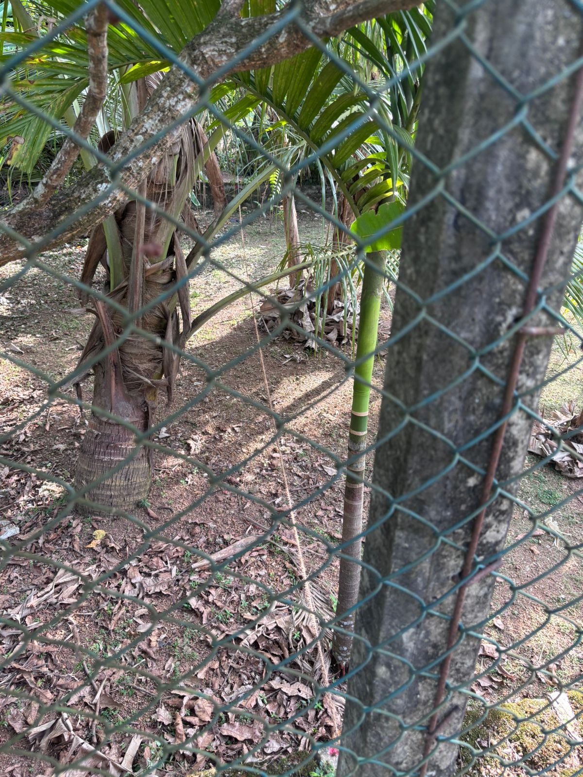 Valuable Land for Sale in Athurugiriya