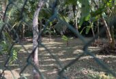 Valuable Land for Sale in Athurugiriya