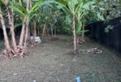 Valuable Land for Sale in Athurugiriya